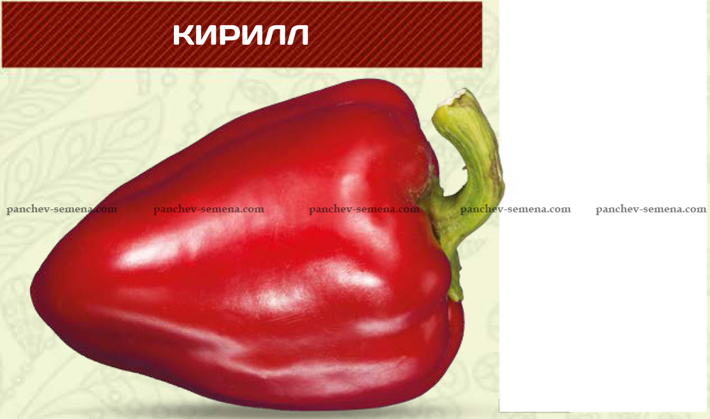 Семена Орешка Перец сладкий калифорнийское чудо желтый 10 шт. - купить по выгодн
