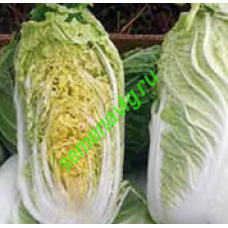 Натсуки F1, 1000 семян, Sakata (Япония)