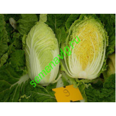 Табалуга F1, 1000 семян, Sakata (Япония)