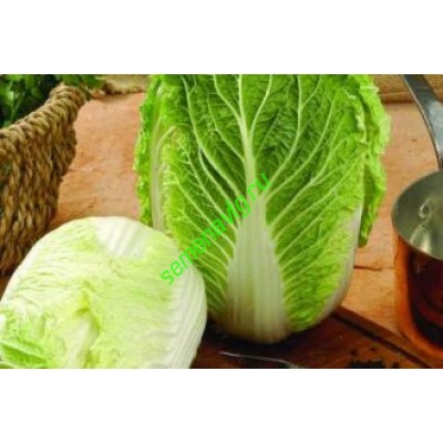 Ричи F1, 1000 семян, Sakata (Япония) Ричи F1, 1000 семян, Sakata (Япония)