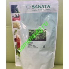 Кориандр Санто F1 , 500 гр., Sakata (Япония)