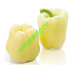 Халиф F1, 500 семян, Sakata (Япония)