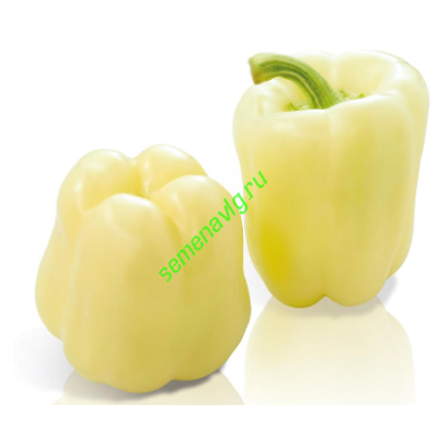 Халиф F1, 500 семян, Sakata (Япония)