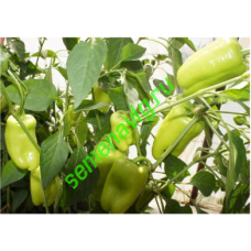 Джейд F1, 500 семян, Sakata (Япония)