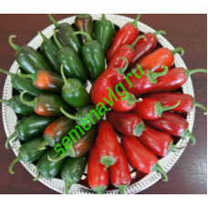 Сонора F1, 500 семян, Sakata (Япония)