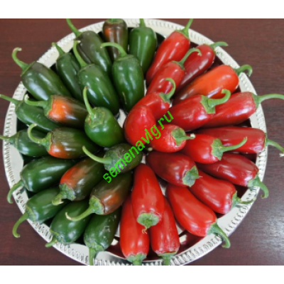 Сонора F1, 500 семян, Sakata (Япония)