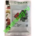 Глориет F1, 10 000 семян, Sakata (Япония)