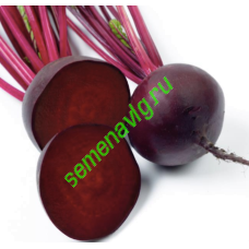 Кестрел F1, 50000 семян, Sakata (Япония)