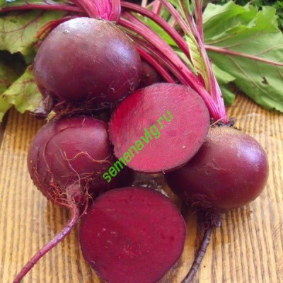 Детройт, 50000 семян, Sakata (Япония) Детройт, 50000 семян, Sakata (Япония)