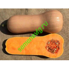 Атлас F1, 1000 семян, Sakata (Япония)