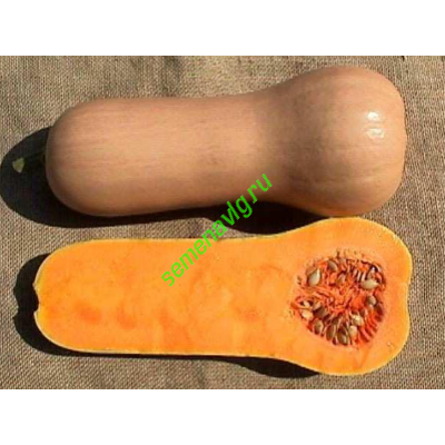 Атлас F1, 1000 семян, Sakata (Япония)