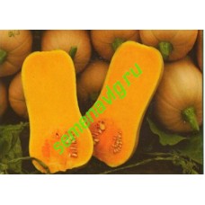 Ариэль F1, 1000 семян, Sakata (Япония) Ариэль F1, 1000 семян, Sakata (Япония)