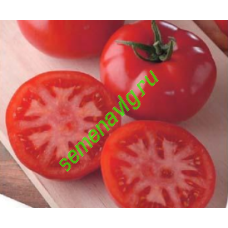 Генерал F1, 1000 семян, Sakata (Япония)