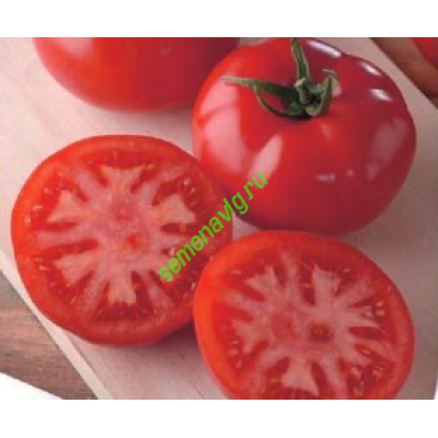 Генерал F1, 1000 семян, Sakata (Япония)