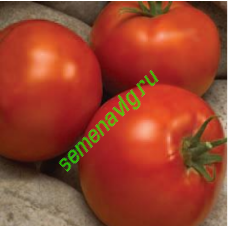 Линда F1, 1000 семян, Sakata (Япония)