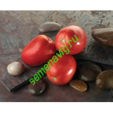 Диаболик F1, 1000 семян, Sakata (Япония)