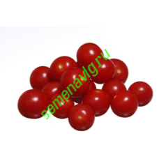 Черри Блоссом F1, 1000 семян, Sakata (Япония)