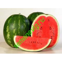 Каристан F1, 1000 семян, SYNGENTA (Швейцария)