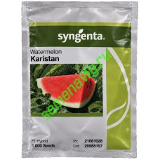 Каристан F1, 1000 семян, SYNGENTA (Швейцария)