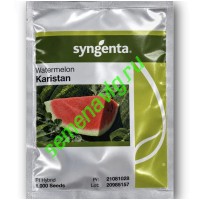 Каристан F1, 1000 семян, SYNGENTA (Швейцария)