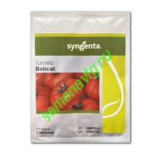 Бобкат F1, 1000 семян, SYNGENTA (Швейцария) Бобкат F1, 1000 семян, SYNGENTA (Швейцария)