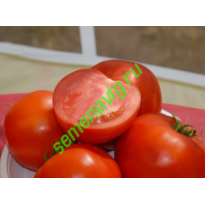 Бобкат F1, 1000 семян, SYNGENTA (Швейцария)