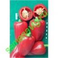 Полет F1 (Упаковка 100 гр.) Панчев Ю.И., (Молдова) Полет F1 (Упаковка 100 гр.) Панчев Ю.И., (Молдова)