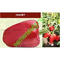 Полет F1 (Упаковка 100 гр.) Панчев Ю.И., (Молдова)