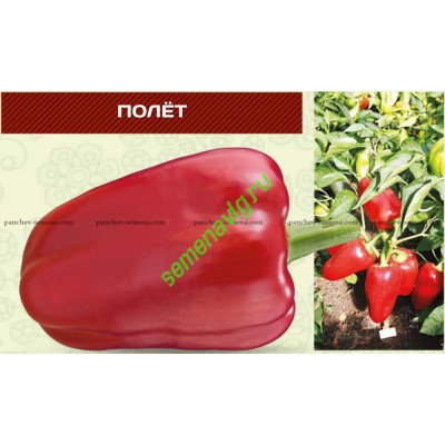 Полет F1 (Упаковка 100 гр.) Панчев Ю.И., (Молдова)