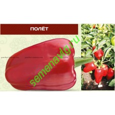 Полет F1 (Упаковка 100 гр.) Панчев Ю.И., (Молдова)