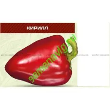 Кирилл F1 (Упаковка 100 гр.) Панчев Ю.И., (Молдова)