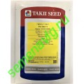 TI-169 F1, 250 семян,  TAKII SEED (Япония)