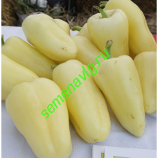 Хаски F1, 500 семян, ENZA ZADEN (Голландия)