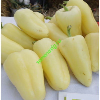 Хаски F1, 500 семян, ENZA ZADEN (Голландия)