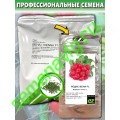 Вена F1, 500 гр., ENZA ZADEN (Голландия)