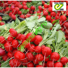 Эскала F1, 500 гр., ENZA ZADEN (Голландия)