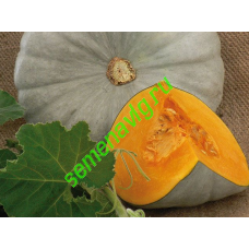 Сампсон F1, 500 семян, ENZ ZADEN (Голландия)