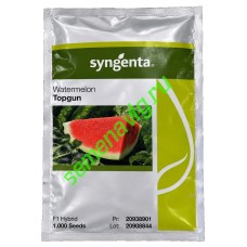 Топ Ган F1, 1000 семян, SYNGENTA (Швейцария)