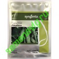 Пасалимо F1, 500 семян, SYNGENTA (Швейцария)
