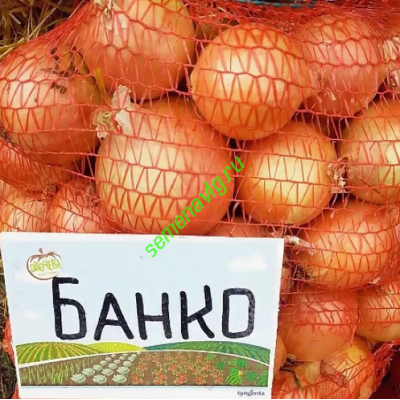 Банко F1, 250 000 семян, SYNGENTA (Швейцария)