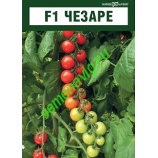 Чезаре F1, 100 семян,  GAVRISH (Россия)