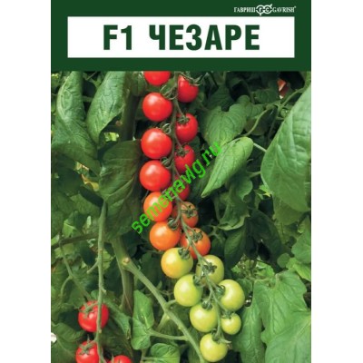 Чезаре F1, 100 семян,  GAVRISH (Россия)