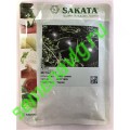 Мулат F1, 1000 семян, Sakata (Япония) Мулат F1, 1000 семян, Sakata (Япония)