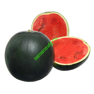 Мулат F1, 1000 семян, Sakata (Япония) Мулат F1, 1000 семян, Sakata (Япония)