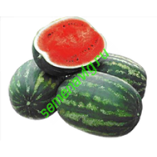 Кримсон руби F1, 1000 семян, Sakata (Япония) Кримсон руби F1, 1000 семян, Sakata (Япония)