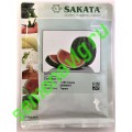 Сармат F1, 1000 семян, Sakata (Япония) Сармат F1, 1000 семян, Sakata (Япония)