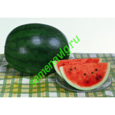 Шуга Деликата F1, 1000 семян, Sakata (Япония) Шуга Деликата F1, 1000 семян, Sakata (Япония)