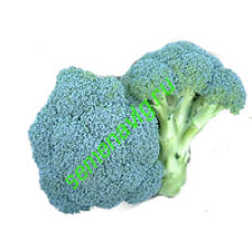 Гераклион F1, 2500 семян, Sakata (Япония)