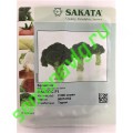 Наксос F1, 2500 семян, Sakata (Япония)