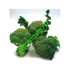 Наксос F1, 2500 семян, Sakata (Япония)